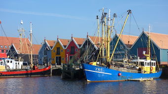 九游官网入口下载-亚布力滑雪旅游度假区2025-2026雪季旅游产品暨招商信息交流会举办,亚布力滑雪场宣传片