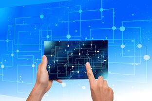 九游娱乐登录-中国篮球青训体系教练员能力评估与发展规划，篮球教练员素养